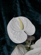 Buchet de mireasă White Pearl